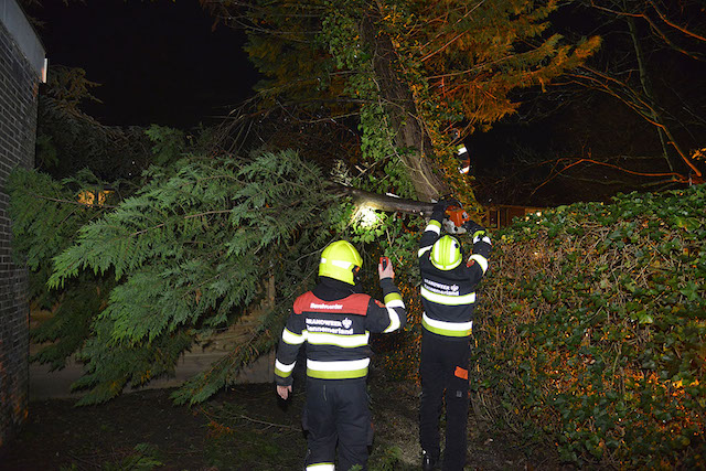 2018/33/20180129-20u35 GB 003 Stormschade Papegaaistraat.jpg